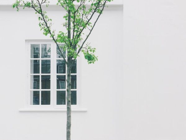 White Wall & Window